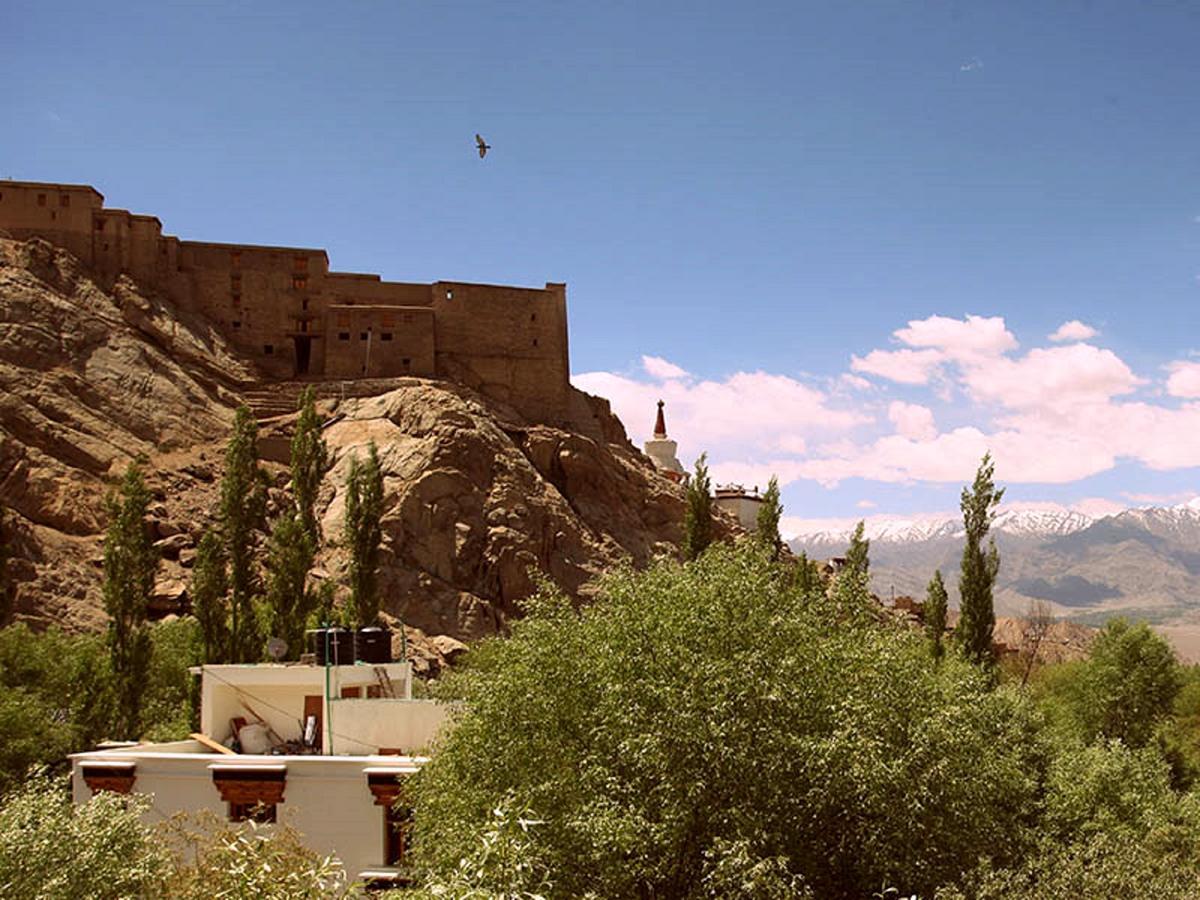The Hotel Himalaya, Leh Luaran gambar